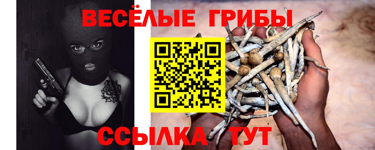Галлюциногенные грибы Psilocybine cubensis  Вход с VPN  Апшеронск 